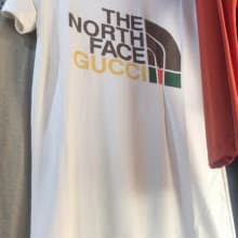 Quality Ladies Cotton White THE NORTH FACE GUCCI Writeup Sitting Round Neck Short Sleeve Polo T-Shirt- Casual, For Women
